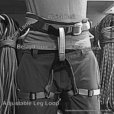 Harness-anatomy-front