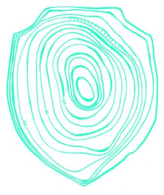 topographic shield green