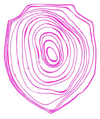 topographic shield pink