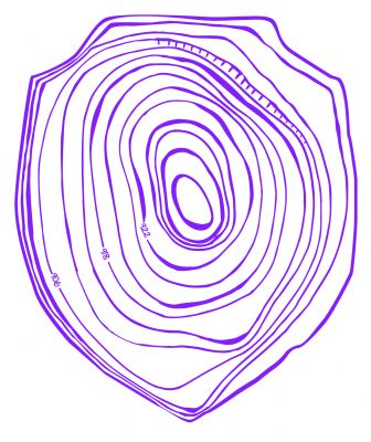 topographic shield purple