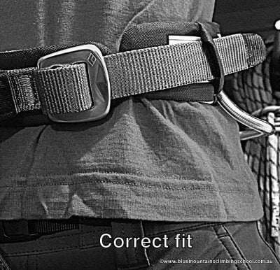 Harness Correct Fit