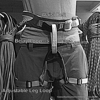Harness anatomy front